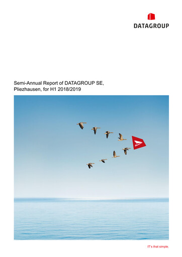 Thumbnail DATAGROUP SE Half-year Report 2018-2019-h1