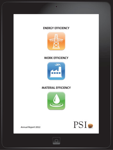 Thumbnail PSI Software Annual Report 2012