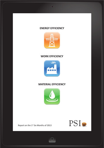 Miniature PSI Software Rapport semestriel 2013-h1