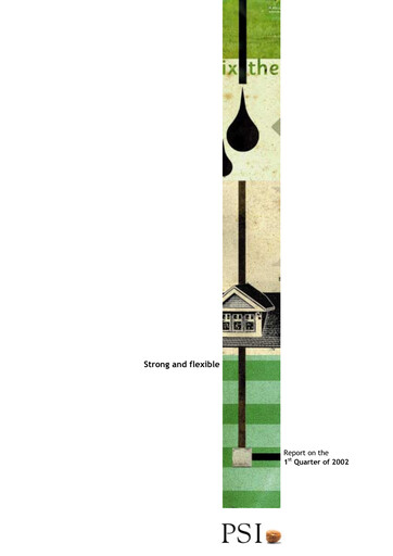 Thumbnail PSI Software Quarterly Report 2002-q1