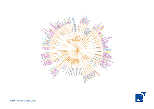 Thumbnail SNP Schneider-Neureither & Partner Annual Report 2020