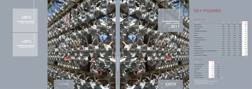 Vorschaubild KAP AG Jahresbericht 2017