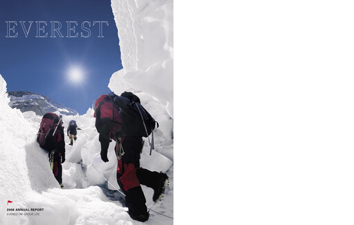 Thumbnail Everest Group Annual Report 2006