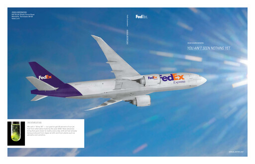 Vorschaubild FedEx Jahresbericht 2010
