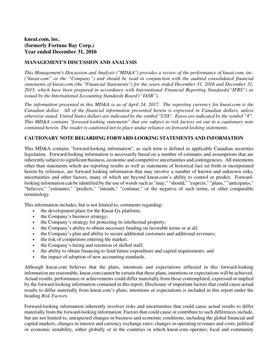 Vorschaubild kneat.com Finanzbericht 2016