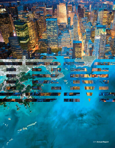 Thumbnail IBM Annual Report 2011