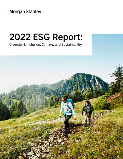 Miniature Morgan Stanley Rapport ESG 2022