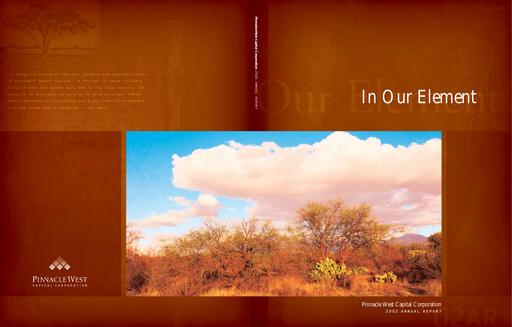Thumbnail Pinnacle West Capital
 Annual Report 2002