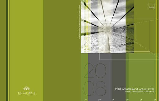 Thumbnail Pinnacle West Capital
 Annual Report 2003