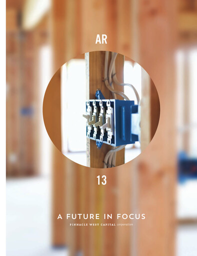 Thumbnail Pinnacle West Capital
 Annual Report 2013