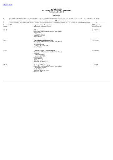 Miniature PPL Rapport trimestriel 2025-q1