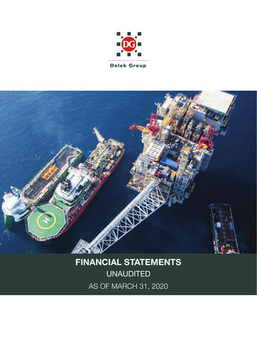 Thumbnail Delek Group Financial Statement 2020-q1