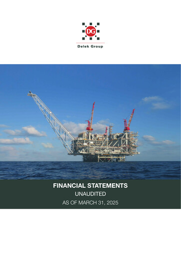 Thumbnail Delek Group Financial Statement 2025-q1