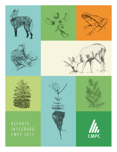 Vorschaubild Empresas CMPC Jahresbericht 2017