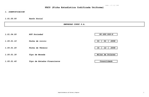 Thumbnail Empresas Copec Financial Statement 2008