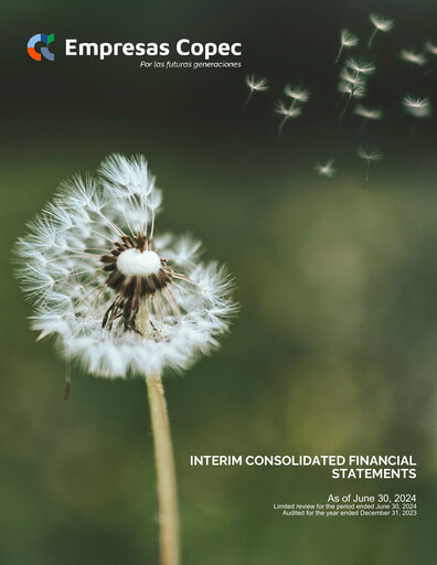 Thumbnail Empresas Copec Financial Statement 2024-q2