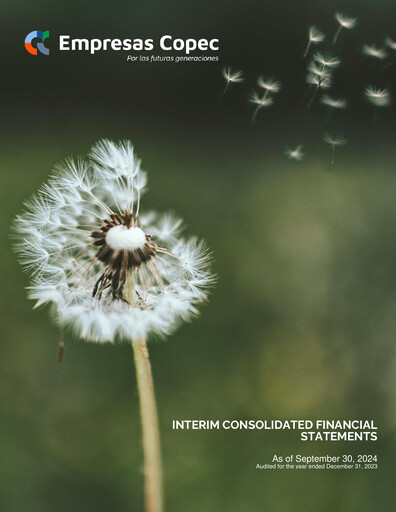 Thumbnail Empresas Copec Financial Statement 2024-q3