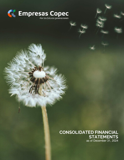 Thumbnail Empresas Copec Financial Statement 2024