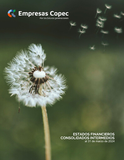 Thumbnail Empresas Copec Financial Statement 2024-q1