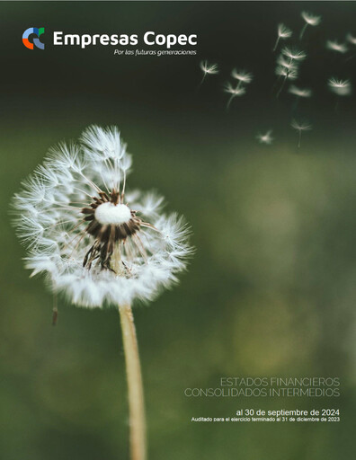 Thumbnail Empresas Copec Quarterly Report 2024-q3