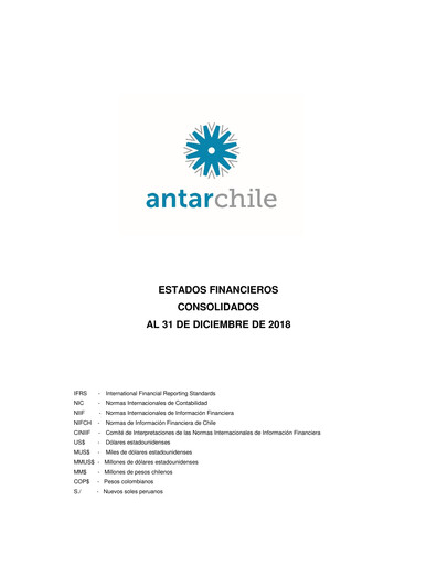 Thumbnail AntarChile
 Financial Statement 2018