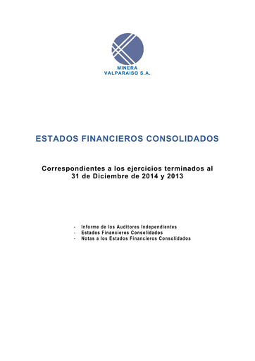 Thumbnail Minera Valparaíso Financial Statement 2014