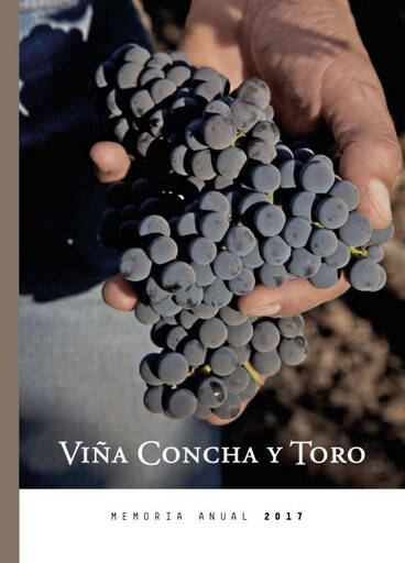 Thumbnail Viña Concha y Toro Annual Report 2017