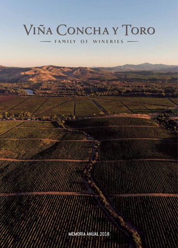 Thumbnail Viña Concha y Toro Annual Report 2018