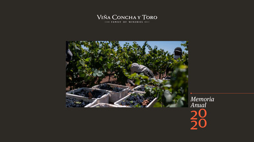Vorschaubild Viña Concha y Toro Jahresbericht 2020