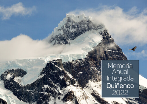 Thumbnail Quiñenco
 Annual Report 2022