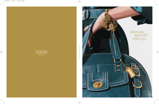 Thumbnail Tapestry Annual Report 2007