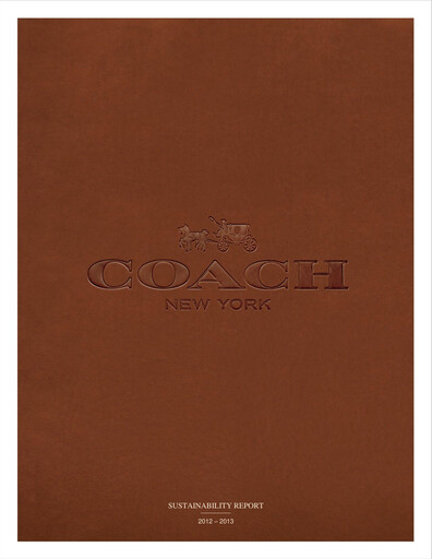 Thumbnail Tapestry Sustainability Report 2013