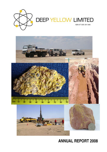 Thumbnail Deep Yellow Annual Report 2008