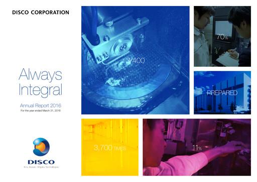 Thumbnail Disco Corp. Annual Report 2016