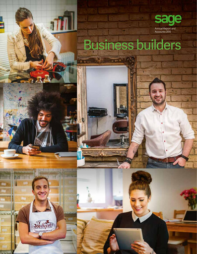 Miniature Sage Group
 Rapport annuel 2016