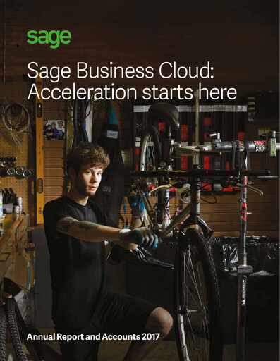 Miniature Sage Group
 Rapport annuel 2017