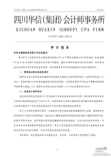 Thumbnail Wuliangye Yibin Financial Statement 2010