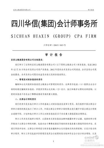 Thumbnail Wuliangye Yibin Financial Statement 2012