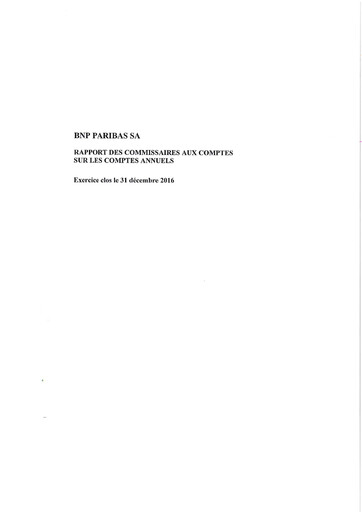 Thumbnail BNP Paribas Financial Statement 2016