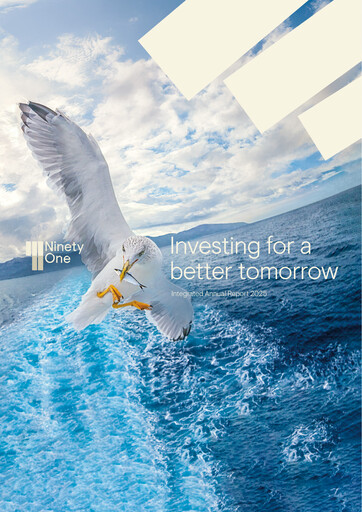 Thumbnail Ninety One Group Annual Report 2025