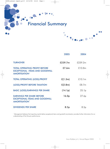 Thumbnail Avon Protection Annual Report 2005