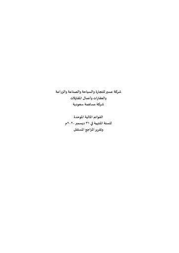 Miniature Sinad Holding Company Bilan financier 2020