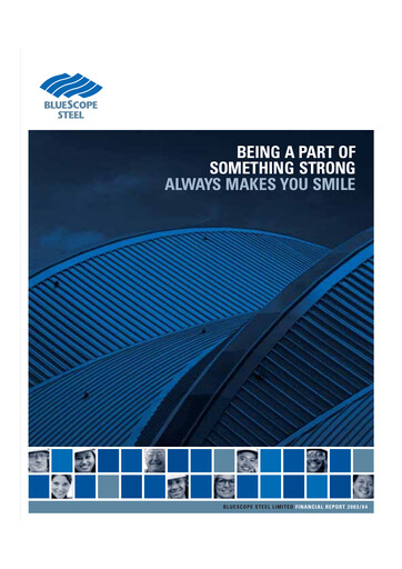 Thumbnail BlueScope Steel Financial Report 2003-2004