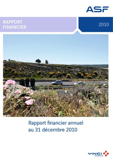 Thumbnail Vinci Financial Report 2010