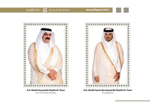 Thumbnail Dlala Brokerage and Investment Holding Company Annual Report 2012