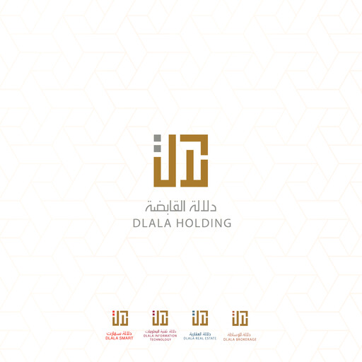 Thumbnail Dlala Brokerage and Investment Holding Company Annual Report 2019