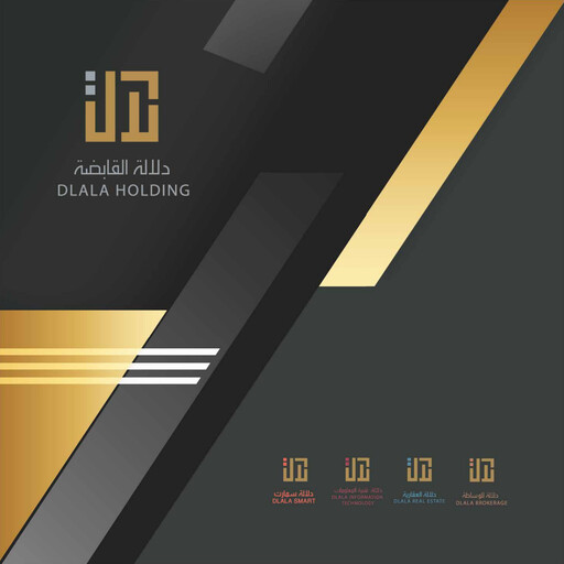 Thumbnail Dlala Brokerage and Investment Holding Company Annual Report 2020