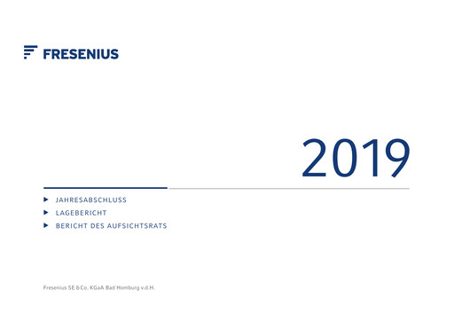 Thumbnail Fresenius Financial Statement 2019