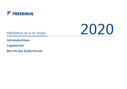 Thumbnail Fresenius Financial Statement 2020