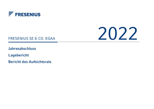 Thumbnail Fresenius Financial Statement 2022